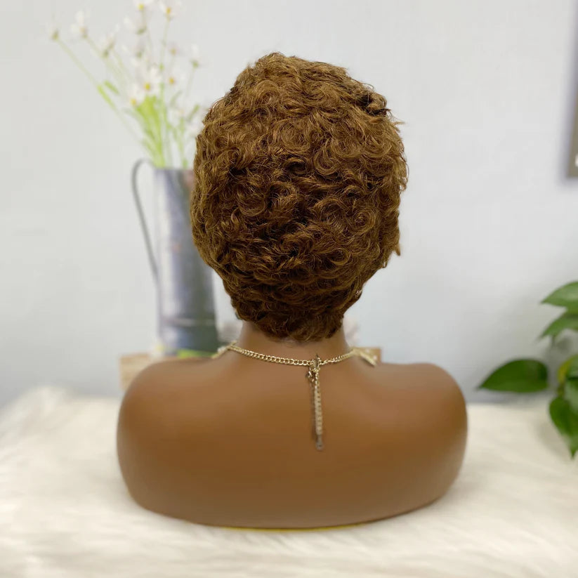 13*4 Wig Sasson996 Virgin Human Hair Lace Wigs Color 4#