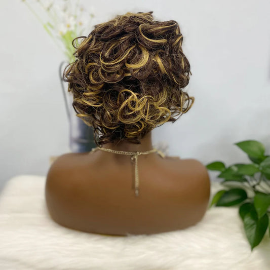 Wig W661 Machine Human Hair Wig Natural Hair Wigs Color 4/27#